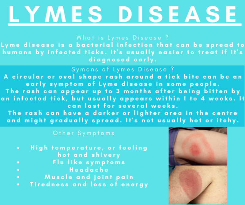 Lymes Disease Unity Care Solutions